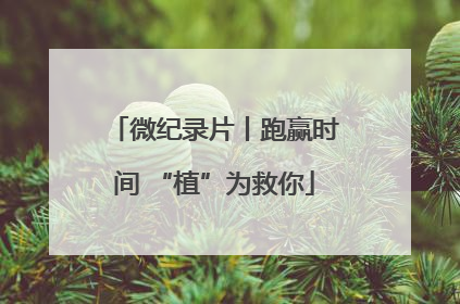 微纪录片丨跑赢时间 “植”为救你