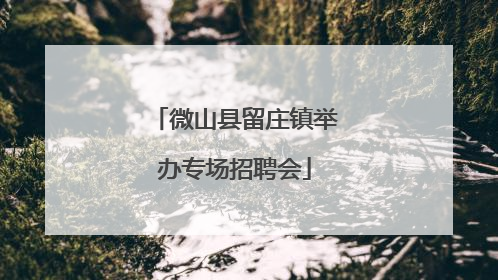 微山县留庄镇举办专场招聘会