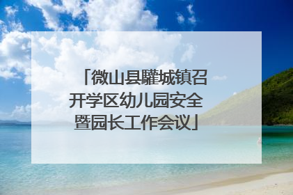 微山县驩城镇召开学区幼儿园安全暨园长工作会议