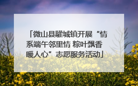 微山县驩城镇开展“情系端午邻里情 粽叶飘香暖人心”志愿服务活动