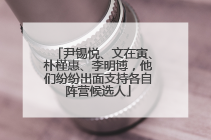 尹锡悦、文在寅、朴槿惠、李明博，他们纷纷出面支持各自阵营候选人