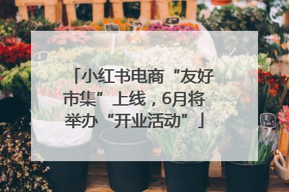 小红书电商“友好市集”上线，6月将举办“开业活动”