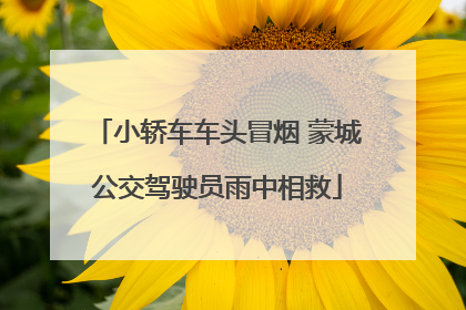 小轿车车头冒烟 蒙城公交驾驶员雨中相救