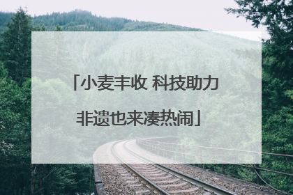 小麦丰收 科技助力 非遗也来凑热闹