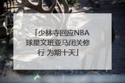少林寺回应NBA球星文班亚马闭关修行 为期十天