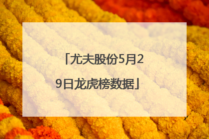 尤夫股份5月29日龙虎榜数据
