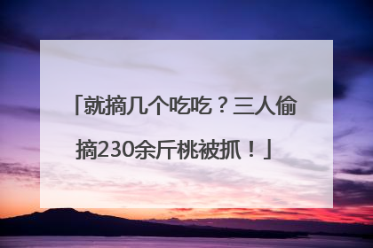 就摘几个吃吃？三人偷摘230余斤桃被抓！