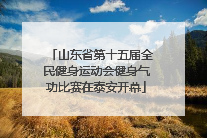 山东省第十五届全民健身运动会健身气功比赛在泰安开幕