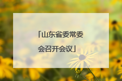 山东省委常委会召开会议