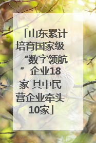 山东累计培育国家级“数字领航”企业18家 其中民营企业牵头10家