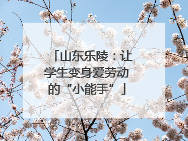 山东乐陵：让学生变身爱劳动的“小能手”