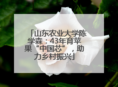 山东农业大学陈学森：43年育苹果“中国芯”，助力乡村振兴
