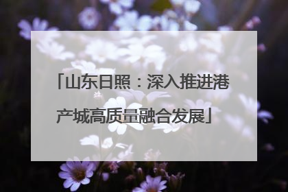 山东日照：深入推进港产城高质量融合发展