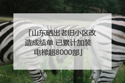 山东晒出老旧小区改造成绩单 已累计加装电梯超8000部
