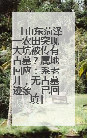 山东菏泽一农田突现大坑被传有古墓？属地回应：系老井，无古墓迹象，已回填
