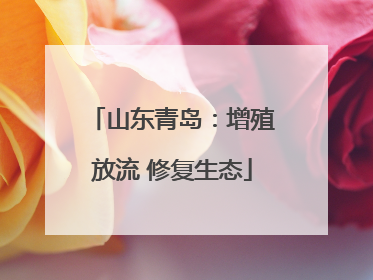 山东青岛：增殖放流 修复生态