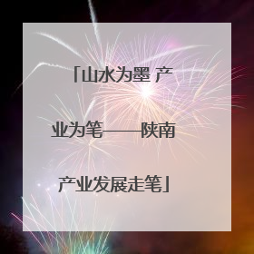 山水为墨 产业为笔——陕南产业发展走笔