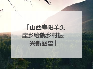 山西寿阳羊头崖乡绘就乡村振兴新图景