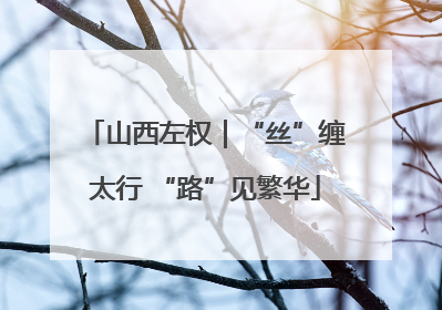 山西左权｜“丝”缠太行 “路”见繁华