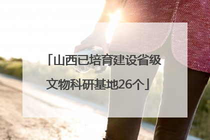 山西已培育建设省级文物科研基地26个