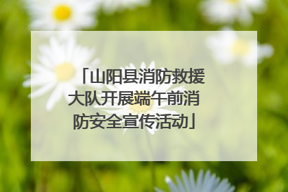 山阳县消防救援大队开展端午前消防安全宣传活动