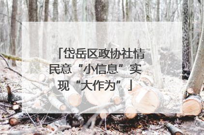 岱岳区政协社情民意“小信息”实现“大作为”