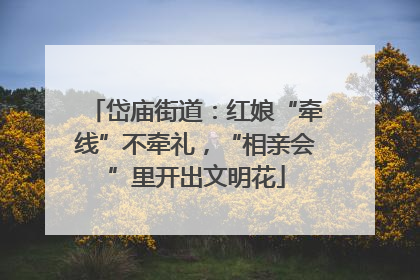 岱庙街道：红娘“牵线”不牵礼，“相亲会”里开出文明花