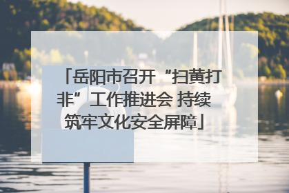 岳阳市召开“扫黄打非”工作推进会 持续筑牢文化安全屏障