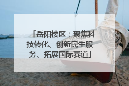 岳阳楼区：聚焦科技转化、创新民生服务、拓展国际赛道
