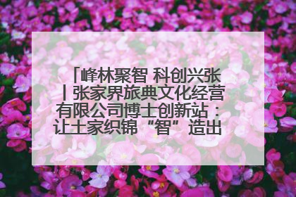 峰林聚智 科创兴张丨张家界旅典文化经营有限公司博士创新站：让土家织锦“智”造出非遗新传奇