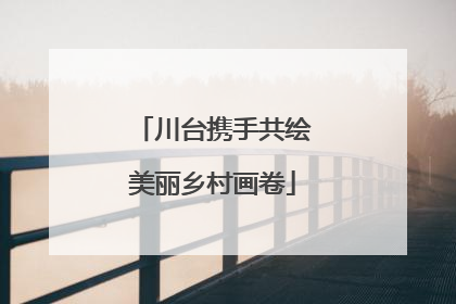 川台携手共绘美丽乡村画卷