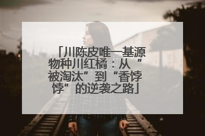 川陈皮唯一基源物种川红橘：从“被淘汰”到“香饽饽”的逆袭之路