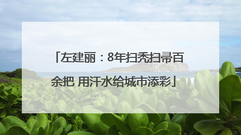 左建丽:8年扫秃扫帚百余把 用汗水给城市添彩