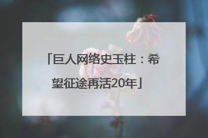 巨人网络史玉柱：希望征途再活20年