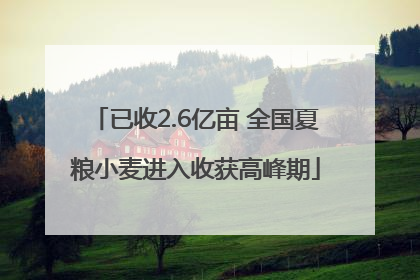已收2.6亿亩 全国夏粮小麦进入收获高峰期
