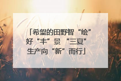 希望的田野智“绘”好“丰”景 “三夏”生产向“新”而行