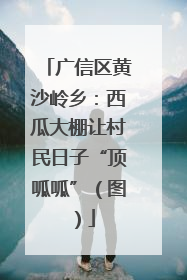广信区黄沙岭乡：西瓜大棚让村民日子“顶呱呱”（图）
