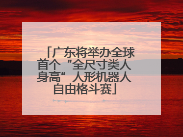 广东将举办全球首个“全尺寸类人身高”人形机器人自由格斗赛