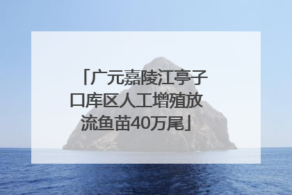 广元嘉陵江亭子口库区人工增殖放流鱼苗40万尾