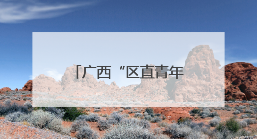 广西“区直青年说”主题宣讲暨五四示范性主题团日活动举行