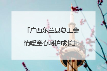 广西东兰县总工会情暖童心呵护成长