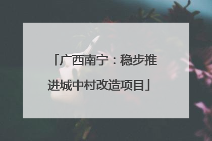 广西南宁：稳步推进城中村改造项目