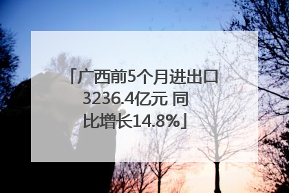 广西前5个月进出口3236.4亿元 同比增长14.8%