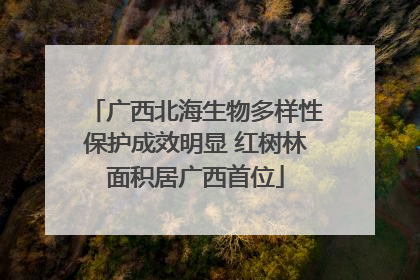 广西北海生物多样性保护成效明显 红树林面积居广西首位