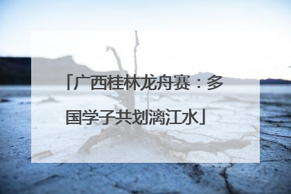 广西桂林龙舟赛：多国学子共划漓江水