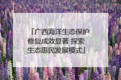 广西海洋生态保护修复成效显著 探索生态惠民发展模式