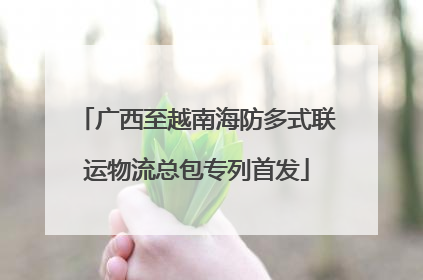 广西至越南海防多式联运物流总包专列首发