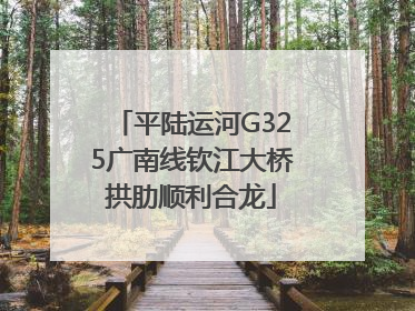 平陆运河G325广南线钦江大桥拱肋顺利合龙