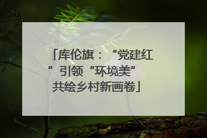 库伦旗：“党建红”引领“环境美” 共绘乡村新画卷
