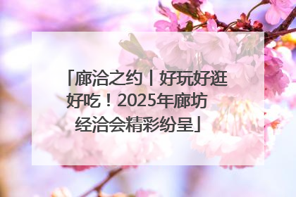 廊洽之约丨好玩好逛好吃！2025年廊坊经洽会精彩纷呈